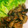 ARF's cooksnap of when they made ぷりぷり♪牡蠣の照り焼き.
