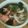 ソラねこ22's cooksnap of when they made 鮭茶漬け.