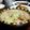 ﾏﾃｨｺ's cooksnap of when they made 野菜の消費に～クリーム煮～.