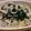 nonchiyasu's cooksnap of when they made 豚とホウレン草の和風パスタ.