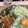 0_maru's cooksnap of when they made レンジで簡単！丸ごとピーマンのおひたし☆.