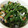 しずのんママ's cooksnap of when they made 菜の花と竹輪の簡単合え♪.