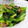 ちばたま's cooksnap of when they made ☆小松菜の中華炒め☆.