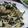 ちばたま's cooksnap of when they made *わかめの炒め物*.