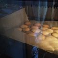 JIMMY0518's cooksnap of when they made これで失敗しない！ラングドシャ.