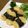 ぴぴぶた's cooksnap of when they made もっちり海苔巻き豆腐のごましそダレ.