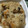 ロミオ1192's cooksnap of when they made 博多の味☆かしわごはん☆.