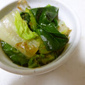 そらてんママ's cooksnap of when they made あと一品♡白菜とほうれん草の和え物.