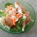 ayaaya0416's cooksnap of when they made 新たまねぎ&しっとり鶏ささみのサラダ.