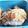 ☆ちゅうすけ☆'s cooksnap of when they made たらのレモンクレソル焼き.