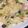 なかも♬'s cooksnap of when they made ブロッコリーとベーコンのホワイトスパ！.