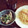 らぶうみちゃん's cooksnap of when they made 水菜としめじのマヨポン和え.