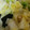 クックJFV1RF☆'s cooksnap of when they made 白菜の簡単バター炒め.