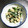 ふーさんの妻's cooksnap of when they made 菜の花の白和え.