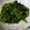 みどママ5963's cooksnap of when they made ほうれん草のゴマ和え.