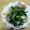 書セラピスト流香's cooksnap of when they made 豚バラニラ玉炒め.
