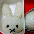 alcohl's cooksnap of when they made ミッフィー☆キャラ弁.
