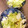 ぷにぷにニャンコ's cooksnap of when they made レタスと白菜のマヨサラダ.