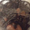 rwaqrwap's cooksnap of when they made 鶏とひじきの炒め煮.