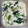 shelly616's cooksnap of when they made 豆腐とほうれん草のごまみそマヨ炒め.