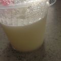 みゆだんご's cooksnap of when they made 牛乳プリン or 杏仁豆腐.