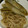 nisiyan's cooksnap of when they made ごぼうと白滝（蒟蒻）のピリ辛煮.
