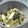 ミッピ。's cooksnap of when they made イカとブロッコリーのオーロラソース炒め.