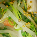 みきゆうりん's cooksnap of when they made 豆苗で簡単副菜　もやしと豆苗のナムル.
