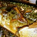 Ｔmc's cooksnap of when they made 黄金比*鯖の煮付け.