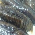 かなじる's cooksnap of when they made なすの煮浸し.
