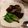 barney♪'s cooksnap of when they made 干ししいたけの含め煮.