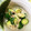 ぽこ☆ちゃん's cooksnap of when they made 簡単☆きゅうりとしらすの和えもの♪.