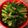 SASAぴー's cooksnap of when they made 大根の葉(かぶらの葉でもOK)の炒めもの.