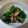 まほじょ's cooksnap of when they made ニラのツナぽん和え.