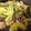 とろけい's cooksnap of when they made 豚バラと野菜の中華風炒め.