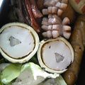 アカほっぺ's cooksnap of when they made お弁当のごぼう天.