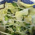 やぎえ's cooksnap of when they made レタスとかいわれ大根のサラダ.
