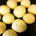 くうまんのハニー's cooksnap of when they made 卵無し☆かぼちゃのロールパン.