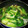 ためいさん's cooksnap of when they made 娘が完食した！ちんげん菜のいため煮.