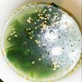 みっちゃん・な's cooksnap of when they made 簡単‼なのに本格的な味☆ わかめスープ.