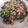 hinaたん's cooksnap of when they made 野菜をモリモリ☆ほうれん草炒め.
