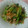 めーこ先生's cooksnap of when they made お手軽！豚こまと小松菜の生姜炒め.