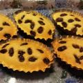 楽ちん楽ちん's cooksnap of when they made 調理室ﾖﾘ～ﾚｰｽﾞﾝonマドレーヌ♪.