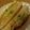 みっふぃーまま's cooksnap of when they made 沼サン♪♪.