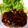 c1ear's cooksnap of when they made 冷凍豆腐とお肉のふんわり素敵なハンバーグ.