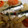 shuga57820's cooksnap of when they made 簡単いわしのアヒージョ.