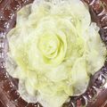5140's cooksnap of when they made おもてなしに♡大根の花びらサラダ.