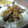 ヅラアシスタント's cooksnap of when they made 簡単で絶品！大根の豚肉巻き.