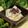 ぽっぽぺぺ's cooksnap of when they made 塩麹でかぶとゆかりの浅漬けサラダ.