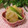 ぽっぽぺぺ's cooksnap of when they made かぶとぷっくり油揚げのさっと炒め煮♪.